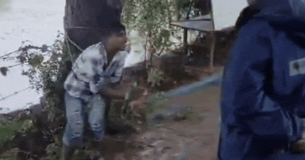 नर्मदापुरम में युवक को पेड़ से बांधकर पीटा, चोरी के लिए माफी मांगता रहा पीड़ित, वीडियो वायरल होने के बाद केस दर्ज