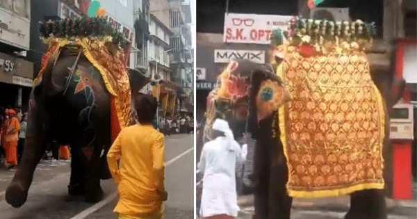 अहमदाबाद जगन्नाथ रथयात्रा में अफरा-तफरी: भीड़ देखकर बेकाबू हुआ हाथी, एक युवक घायल, तीन हाथी हटाए गए