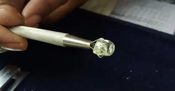 पन्ना में फिर चमकी किस्मत, आदिवासी मजदूर को पहली खुदाई में मिला 11.95 कैरेट का बेशकीमती हीरा, कीमत 40 लाख रुपए