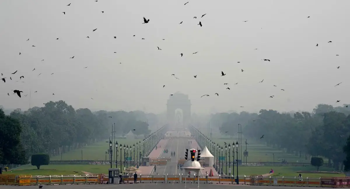 जहर बनी दिल्ली-NCR की हवा… दिवाली के बाद 'गैंस चैंबर' बनी राजधानी, AQI 531 के पार; SC की रोक के बावजूद रातभर हुई आतिशबाजी