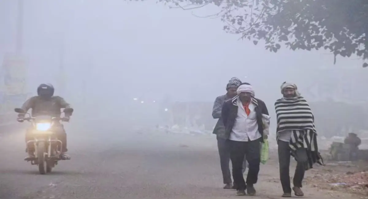 बारिश, कोहरा और तेज धूप… प्रदेश में मिलाजुला मौसम, 15 नवंबर से ठंड बढ़ने की चेतावनी