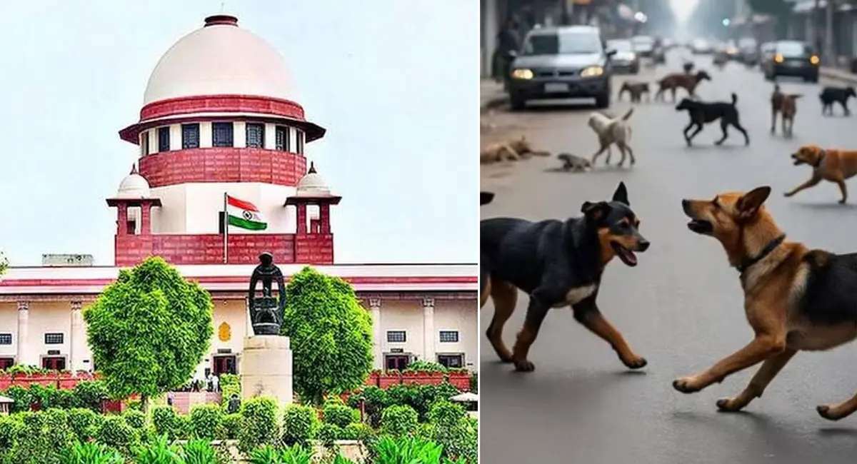 देशभर से हटेंगे आवारा कुत्ते, नसबंदी के बाद शेल्टर होम में रखने के निर्देश