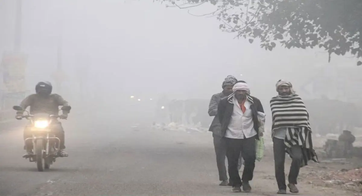 प्रदेश में ठंड का कहर, भोपाल-इंदौर में पारा 10 डिग्री से नीचे; दो दिन कोल्ड वेव का अलर्ट