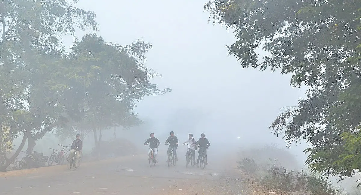 प्रदेश में सर्द हवाओं ने बढ़ाई ठिठुरन, कई शहरों में कोल्ड वेव का अलर्ट जारी