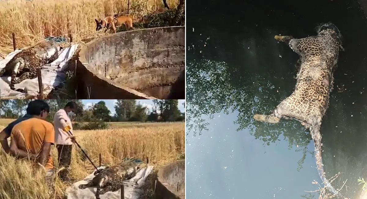 /img/10/1774169416840