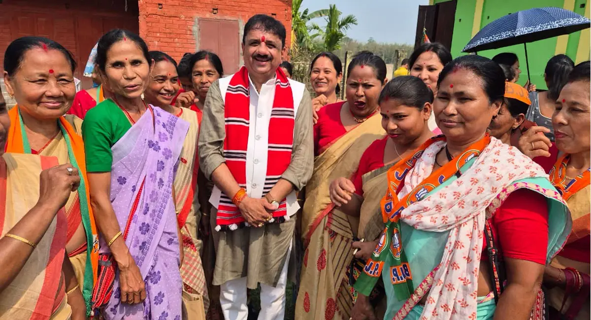 /img/10/1775451861905