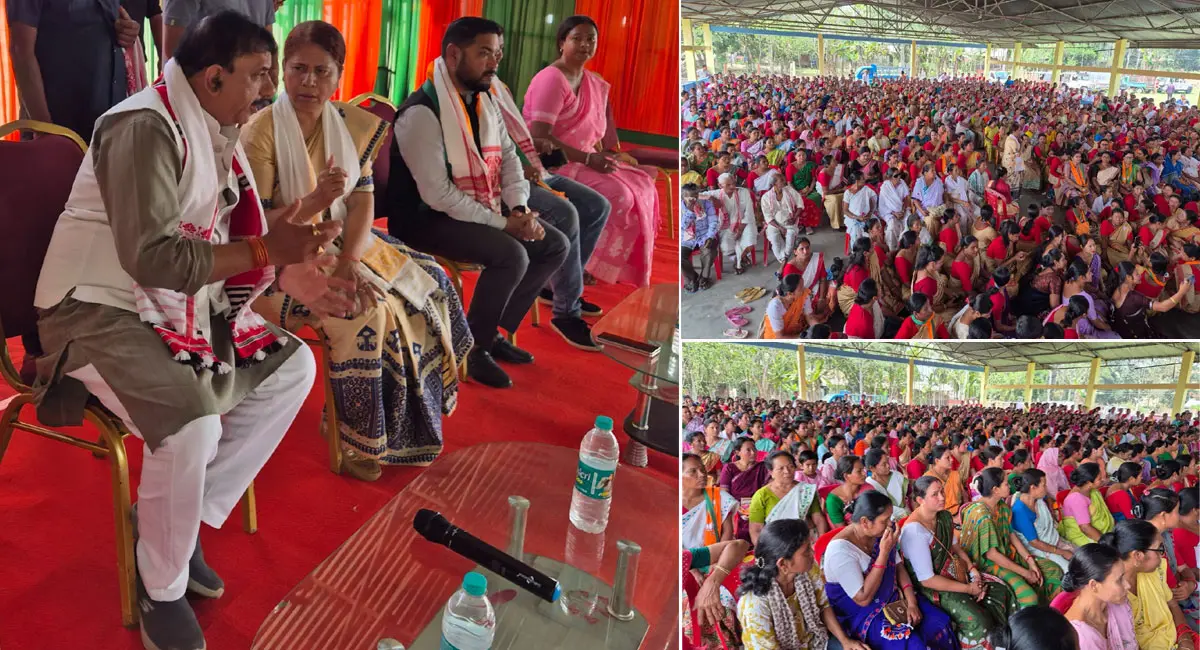 /img/10/1775452073276