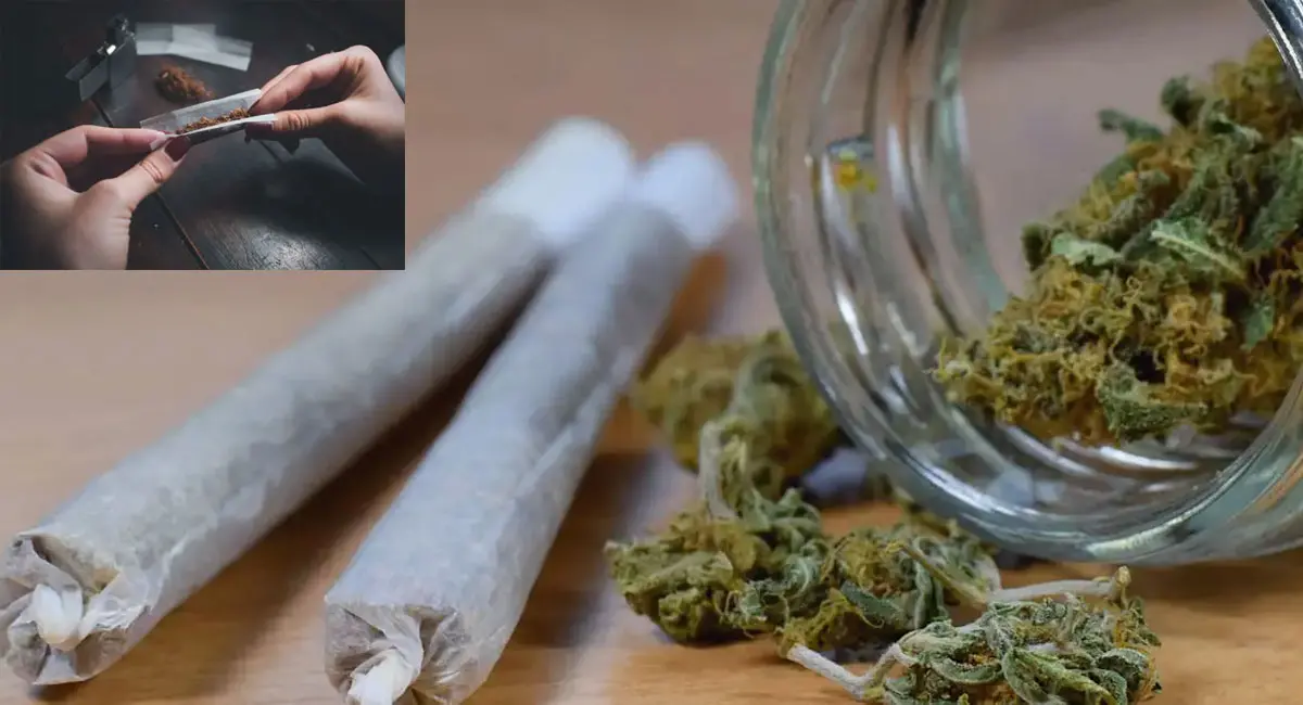 /img/10/1775986923618