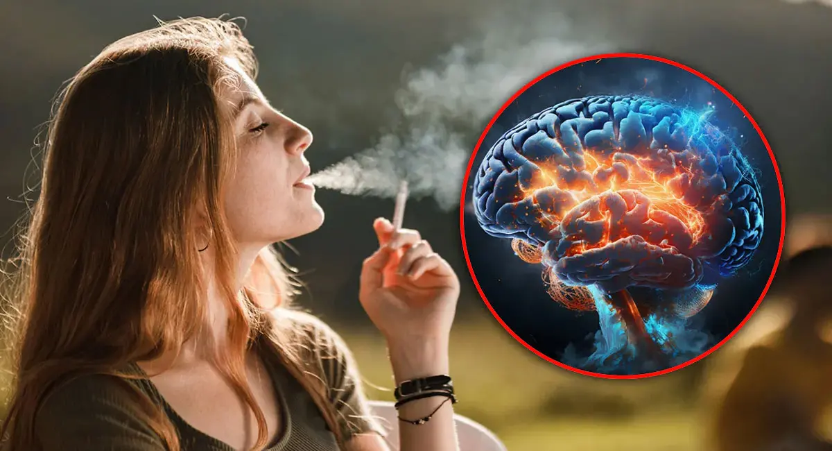 /img/10/1775987148590