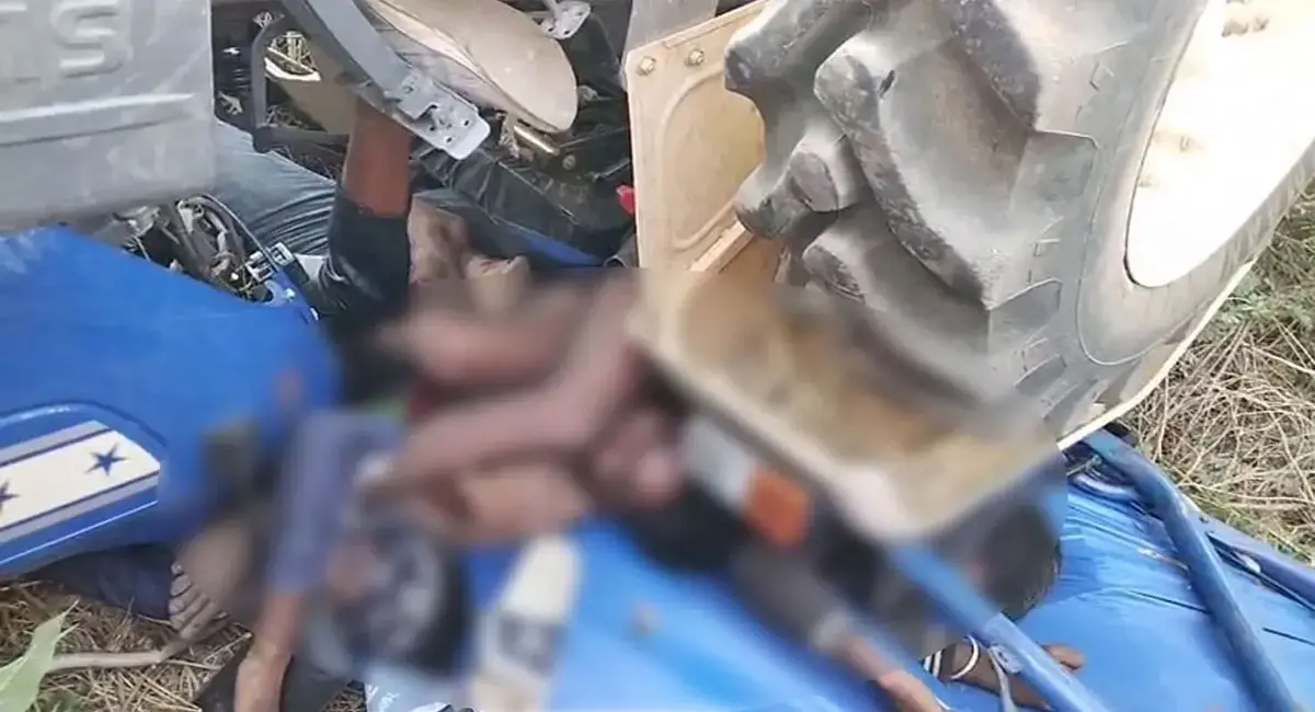 /img/10/1776592230982