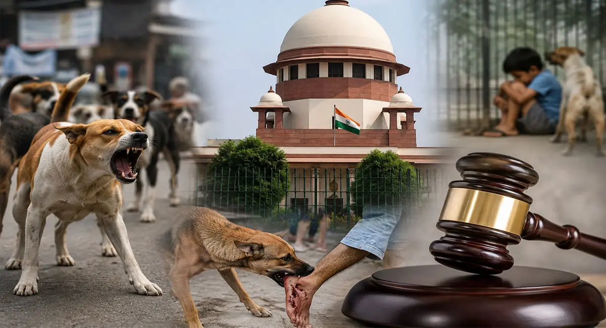 Stray Dogs पर सुप्रीम कोर्ट सख्त, बोला- लोगों की जान सबसे जरूरी