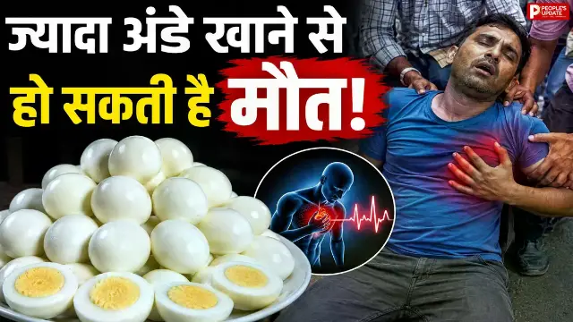 42वें Egg पर बिगड़ी तबीयत, जानिए एक साथ ज्यादा अंडे खाना कितना खतरनाक