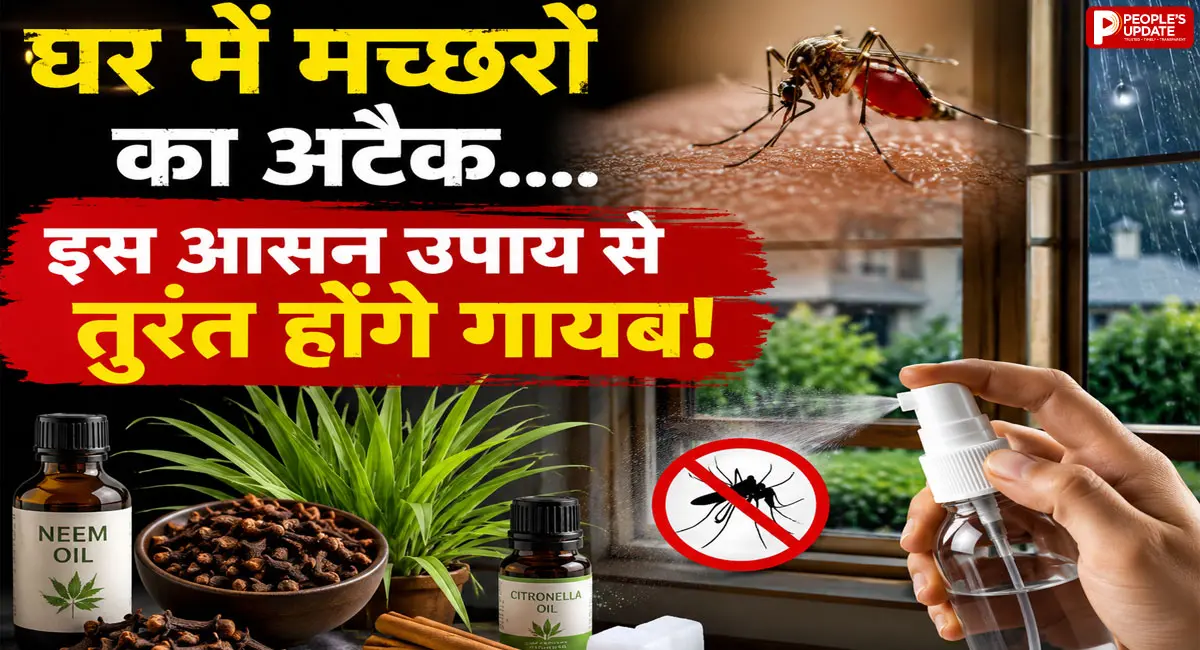 घर को ऐसे बनाएं 'नो-एंट्री जोन', अपनाएं ये देसी और असरदार उपाय
