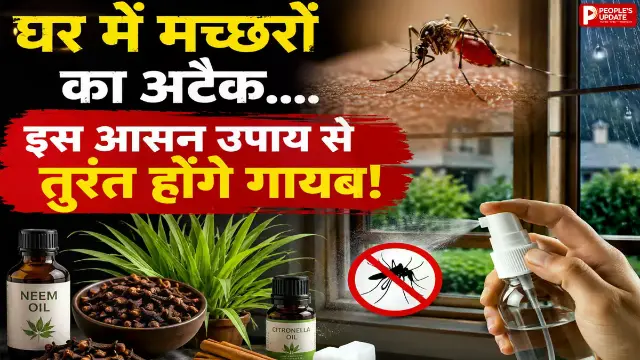 घर को ऐसे बनाएं 'नो-एंट्री जोन', अपनाएं ये देसी और असरदार उपाय