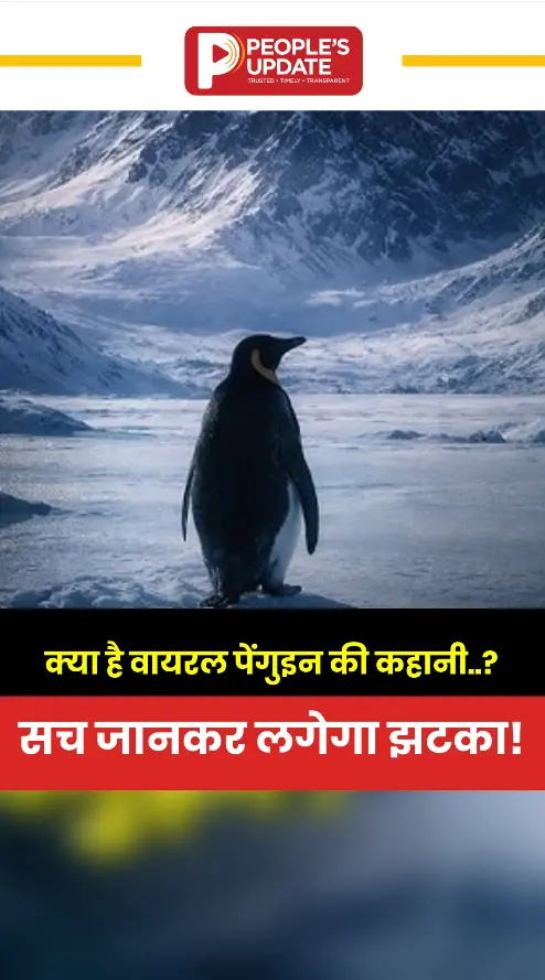 पेंगुइन अकेला क्यों चला? सोशल मीडिया पर छिड़ गई बहस!