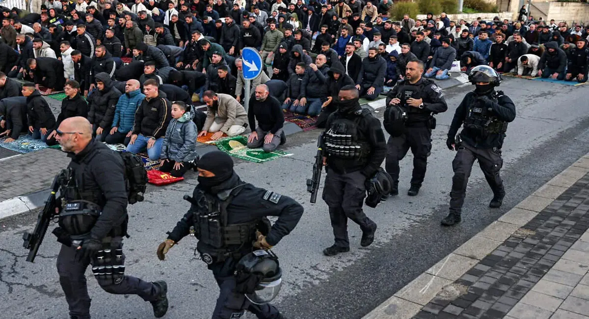 /img/116/1774078150043