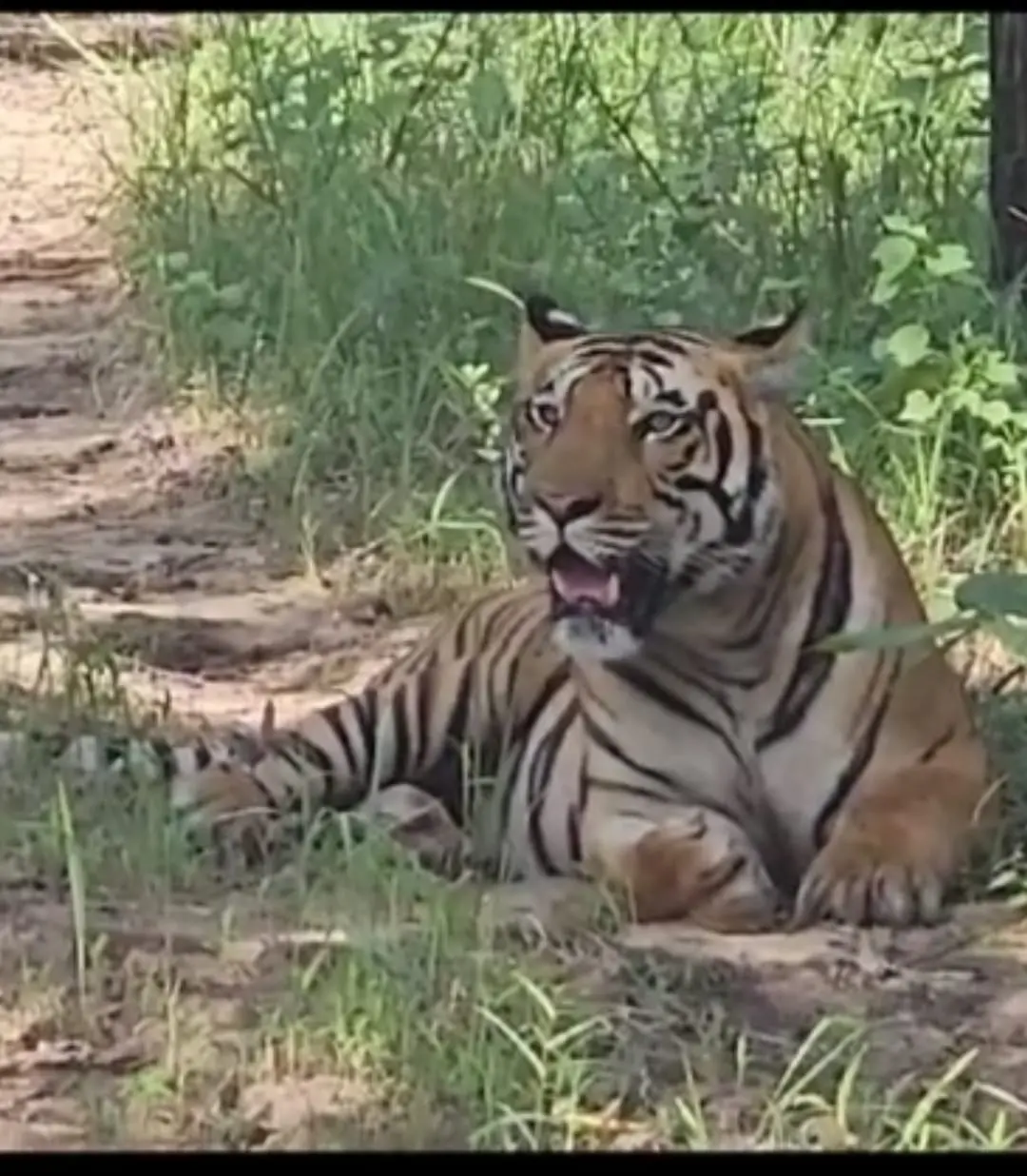 /img/116/1774628759949