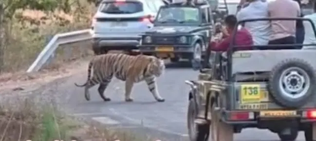 खतरे के बीच लापरवाह दिखे लोग, प्रबंधन की लापरवाही पर उठे बड़े सवाल