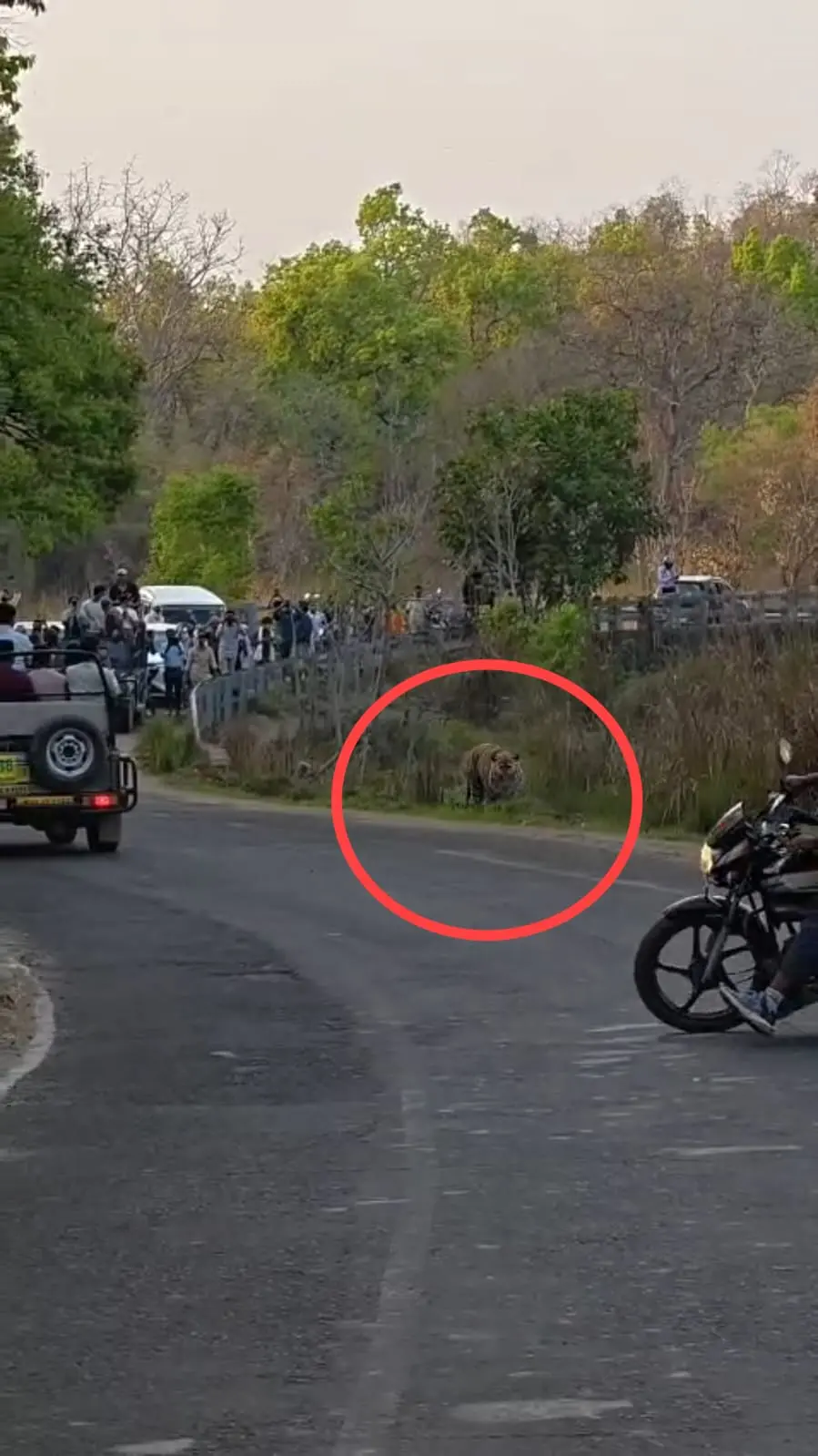 /img/116/1774880168594