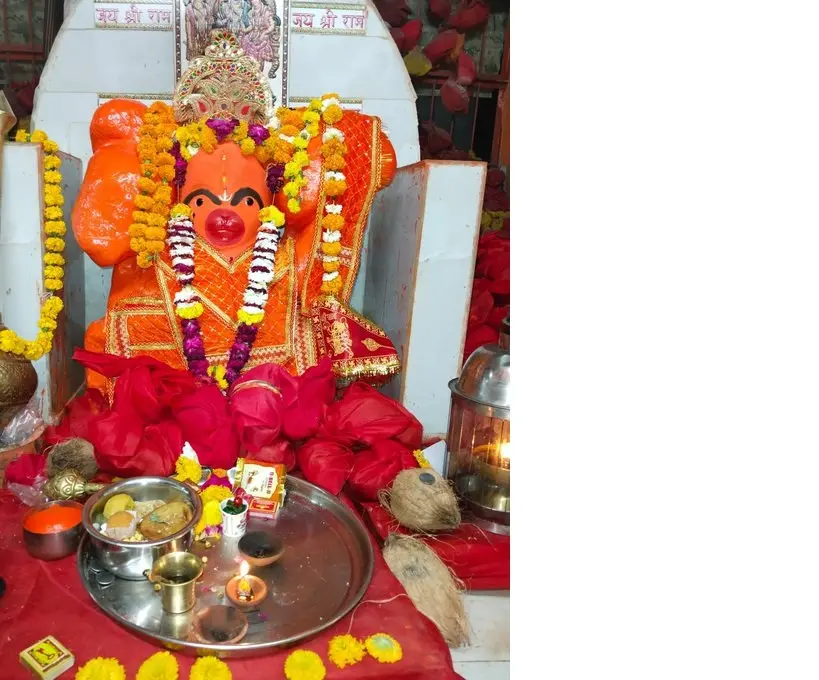 /img/116/1775059686619