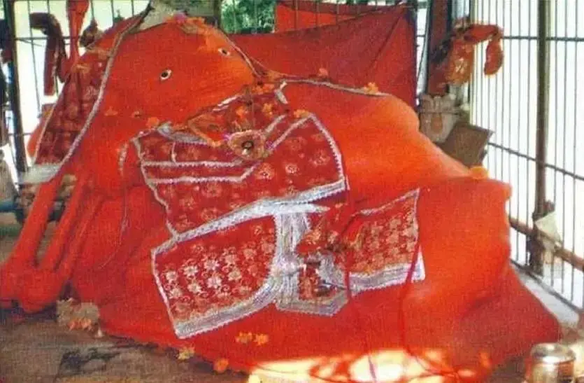 /img/116/1775059897506