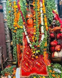 /img/116/1775059962385