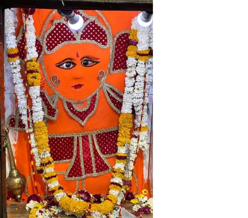 /img/116/1775060265009