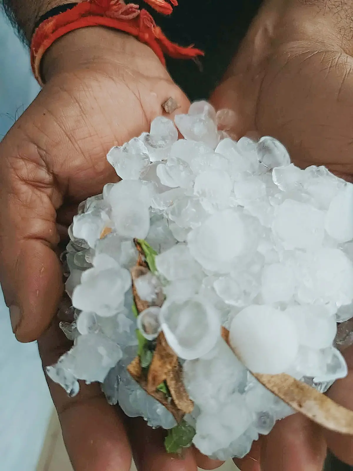 /img/116/1775315328467