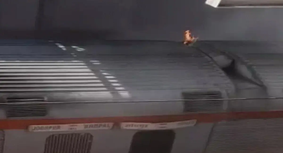 /img/116/1776687348609