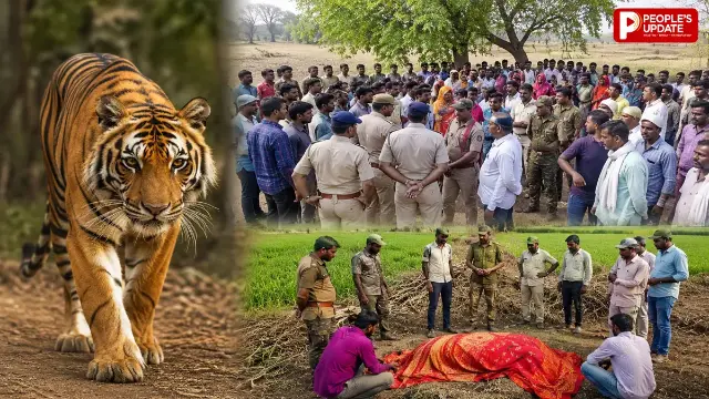 अलग-अलग हमलों में दो महिलाओं की मौत, मुआवजा और सुरक्षा बढ़ाने की मांग