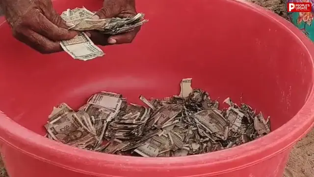 खेत में 5 लाख रुपये गाड़कर भूल गया किसान, सालभर बाद मिले तो दीमक चट कर चुकी थी रकम