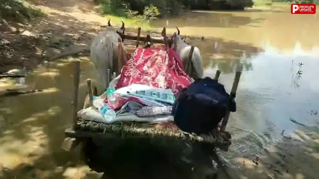 शहडोल में 1 किमी पहले रुकी एंबुलेंस, बैलगाड़ी से घर पहुंचाया महिला का शव 
