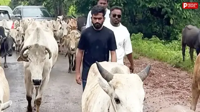 आदिवासी बच्चों की मौत के मामले में बालाघाट पहुंचे CJP संस्थापक, प्रभावित गांवों का किया दौरा