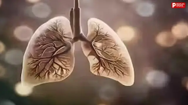टीबी ने शरीर तोड़ा, सरकार की पोषण मदद भी सात महीने से अटकी; कार्ड बने मरीजों को भी नहीं मिल रही राशि