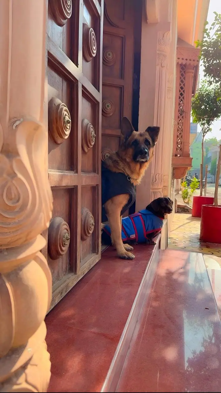 /img/118/1776958576163