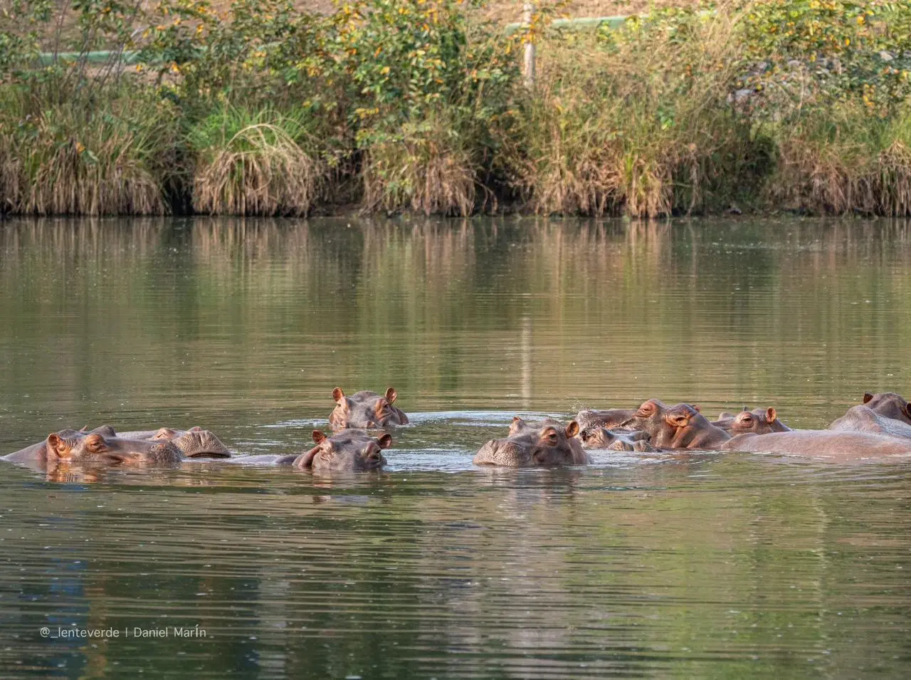 /img/118/1777382681725