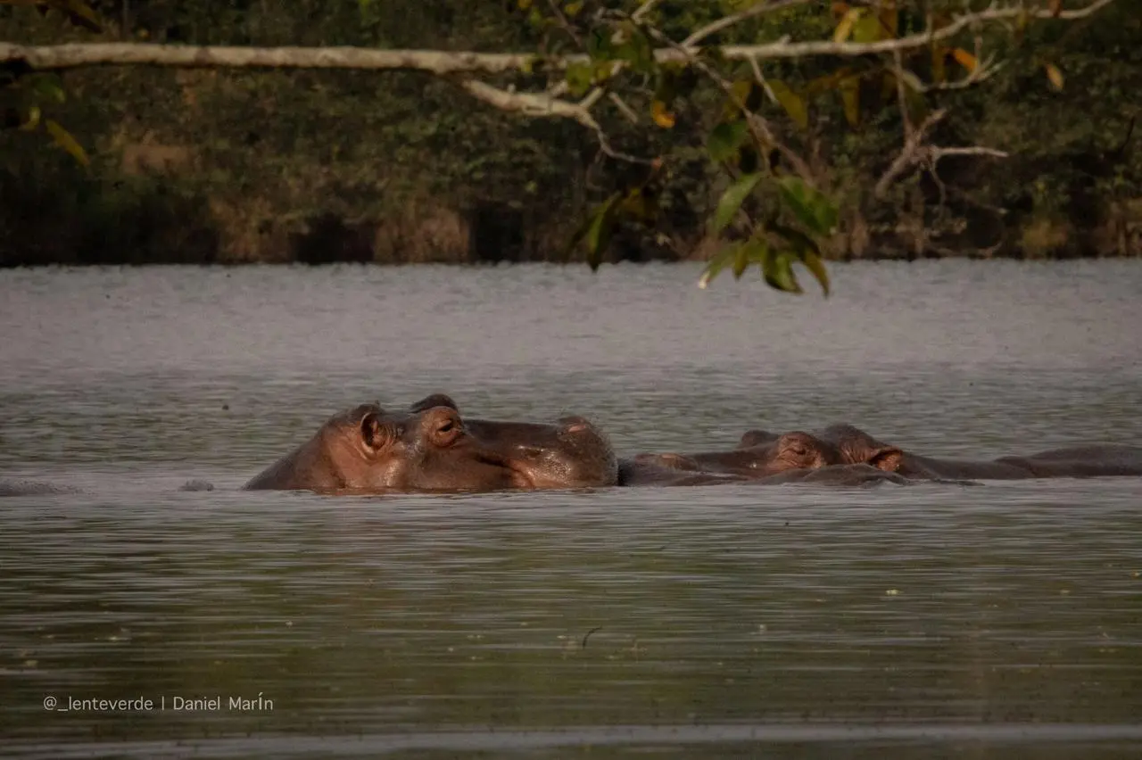 /img/118/1777383411546