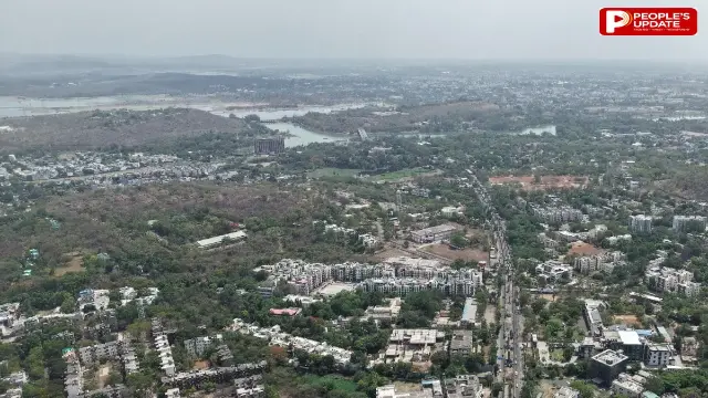 15 साल में तीन लाख पेड़ कटे, अब 13 हजार और पेड़ों पर संकट