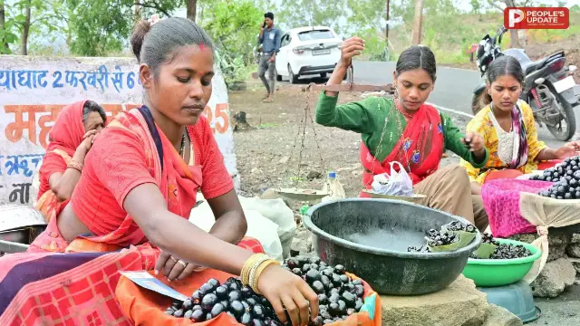 सैलानियों की संख्या घटी, 30 फीसदी तक सिमटा कारोबार