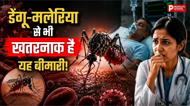 डेंगू-मलेरिया से भी खतरनाक हो सकता है यह वायरस! मच्छर के काटते ही दिमाग पर करता है हमला