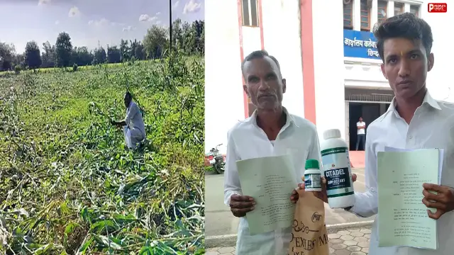 घटिया खरपतवार नाशक बेचने का आरोप, किसान ने की मुआवजा और दुकान का लाइसेंस निरस्त करने की मांग