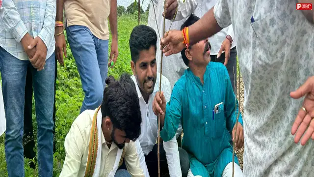 प्रदेशभर में 1 लाख 11 हजार पौधे लगाने का लक्ष्य 