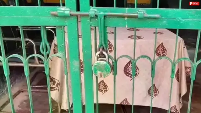 मंडला में आवारा कुत्तों का आतंक: एक दिन 25 से लोगों को काटा, बच्चों की सुरक्षा के लिए स्कूल और आंगनबाड़ी बंद