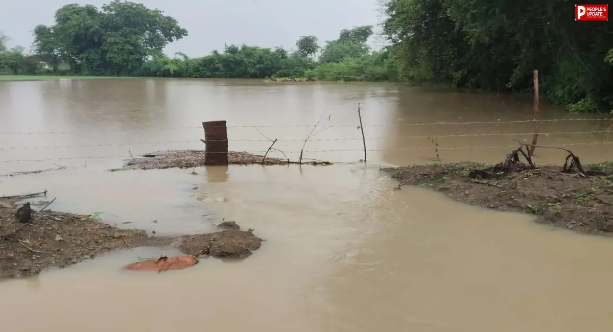 सड़क निर्माण में लापरवाही: 4 एकड़ फसल बर्बाद, किसान ने कर्ज लेकर बोई थी फसल