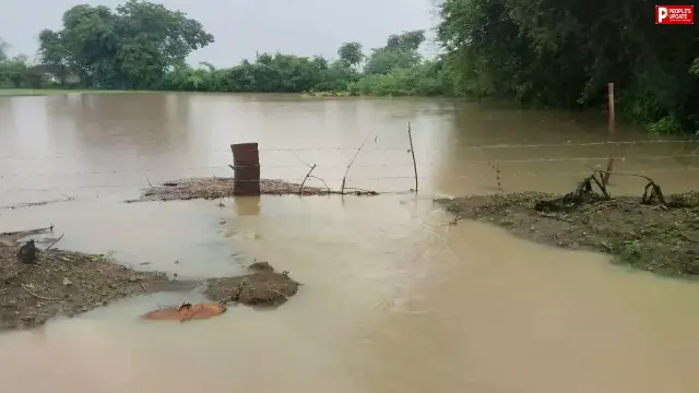 सड़क निर्माण में लापरवाही: 4 एकड़ फसल बर्बाद, किसान ने  कर्ज लेकर बोई थी फसल 
