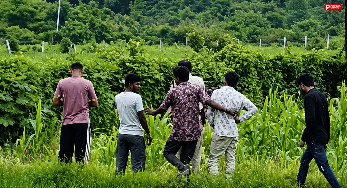भोपाल: खेत में पड़े बिजली के तार की चपेट में आए पिता-पुत्र, दोनों की मौके पर मौत; जांच में जुटी पुलिस