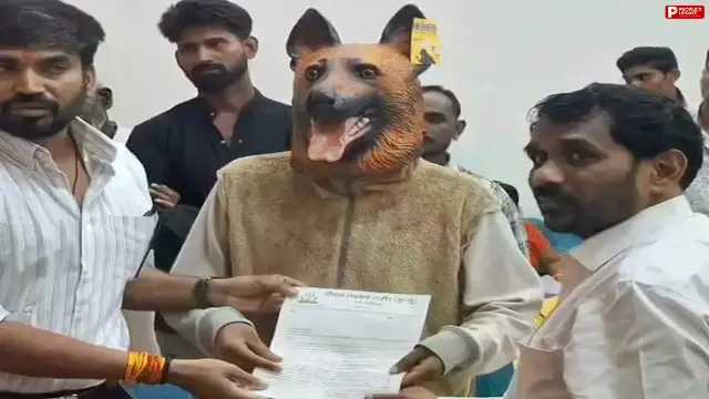 खंडवा में आवारा कुत्तों के आतंक से मिलेगी मुक्ति, नगर निगम ने नसबंदी के लिए निकाला टेंडर