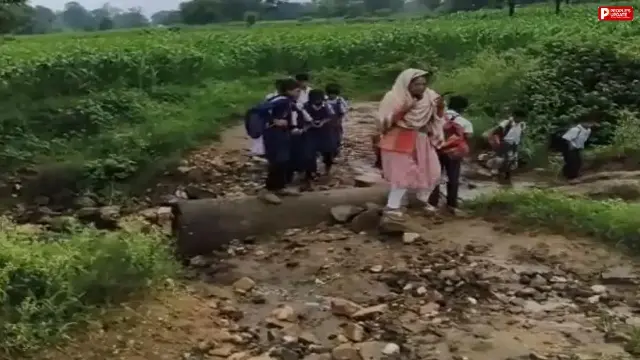 छिंदवाड़ा: बारिश से कीचड़ में तब्दील हुई सड़क, ग्रामीणों ने की पुलिया बनाने की मांग
