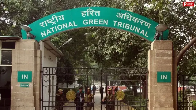 भोपाल: डाबरी नर्सरी में 2000 से ज्यादा सागौन के पेड़ काटे जाने पर NGT सख्त, चार सदस्यीय जांच समिति गठित