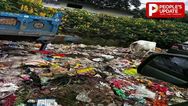 संसाधनों के अभाव में सोहागपुर की सफाई व्यवस्था प्रभावित, खराब वाहनों से डोर-टू-डोर कचरा उठान ठप 